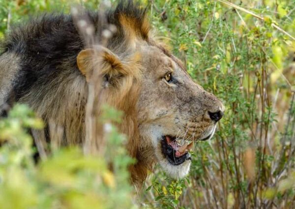 Lulu Tours and Safari in Zanzibar