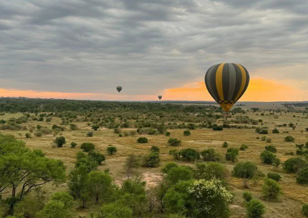 4 Days Serengeti, Ngorongoro Crater and Tarangire Park