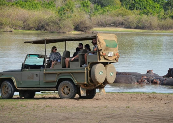 Day Trip from Zanzibar to Selous Game Reserve