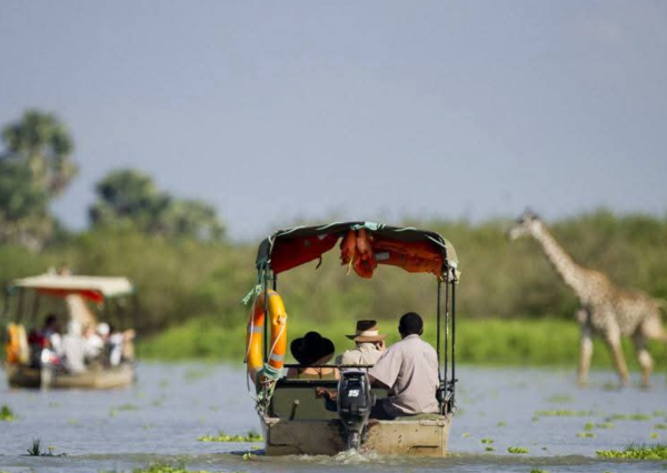2 Days Selous Game Group Safari/ Nyerere National Park